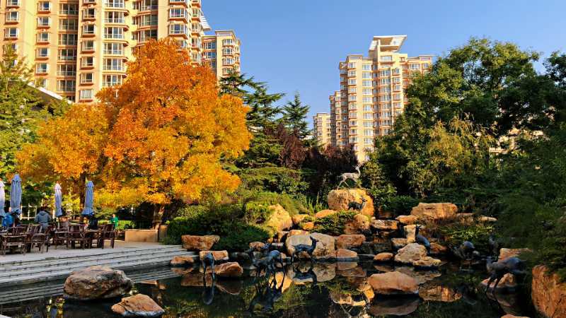 86917abfa9d24b21692352594b45e4e.jpg 86917abfa9d24b21692352594b45e4e.jpg